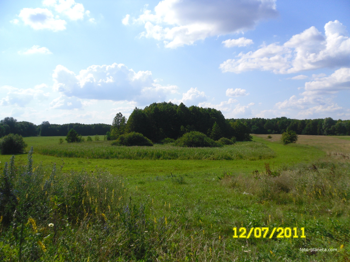 Зелений гай, ур.Стінка