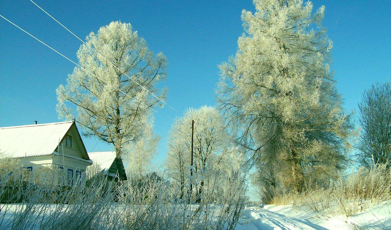 Зима в Плеханово