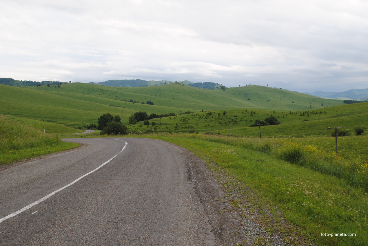 Дорога в Солонешное.