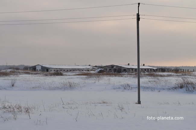 Погода в макурино юргинский. Село Шипаково Юргинский район. Село Володино Юргинский район. Деревня Безменово Юргинский район. Шипаково Юргинский район Тюменская область.