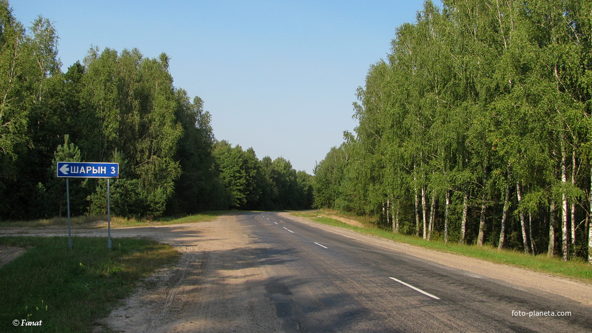 Поворот на деревню с автодороги Ельск - Кочище