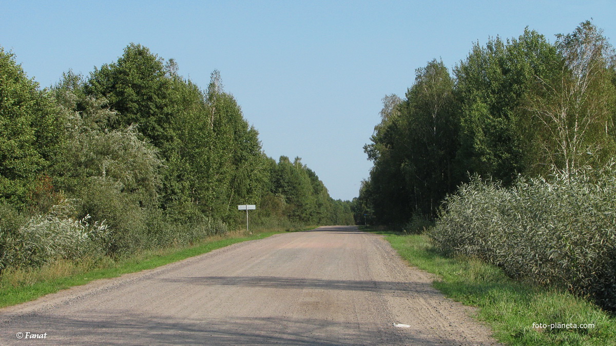 Дорога в д. Богутичи