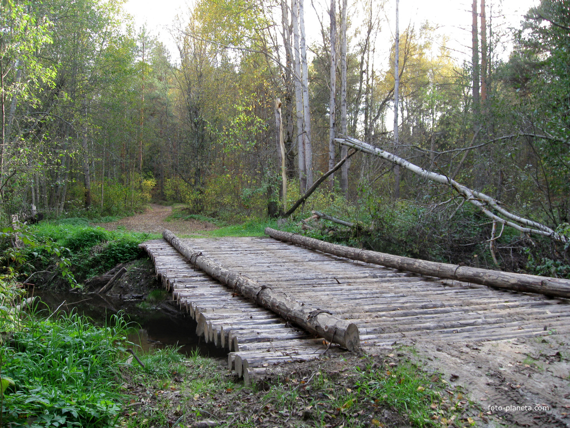 заповедник ( к домику рыбока )