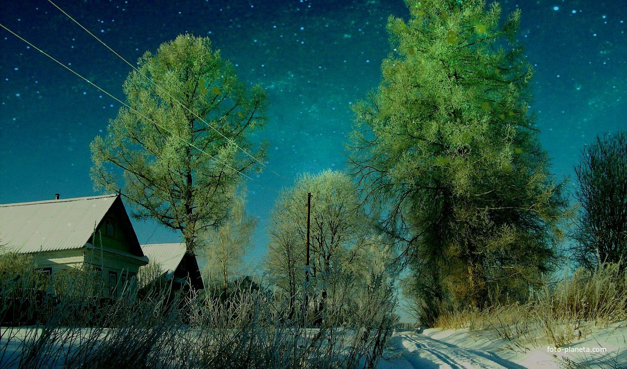 Зимняя ночь в Плеханово