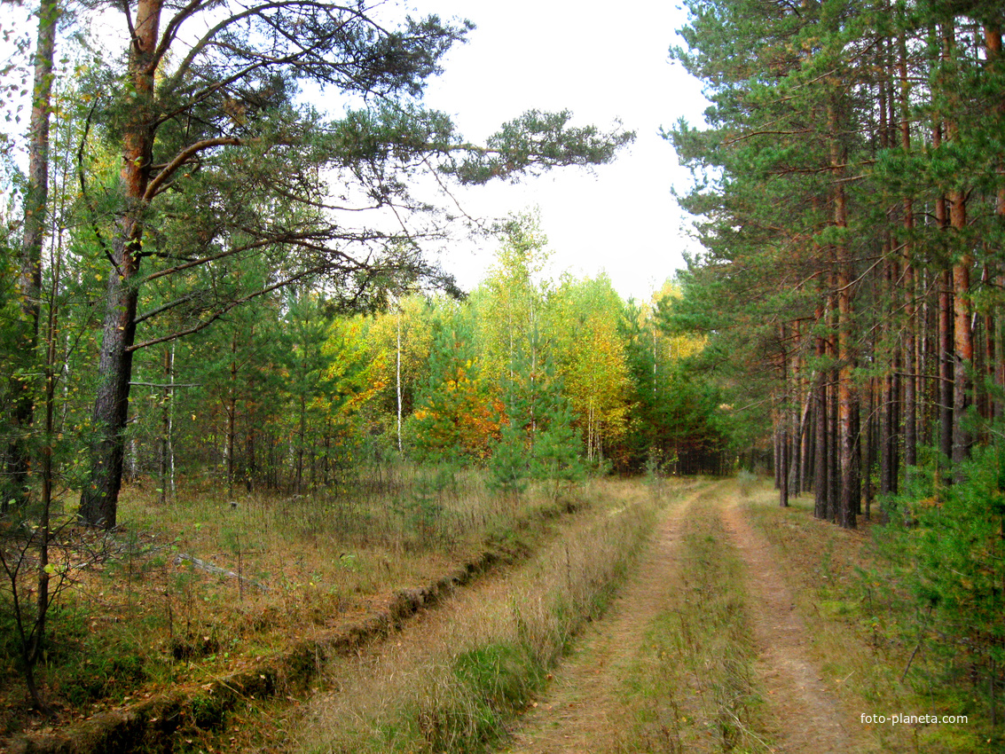 заповедник