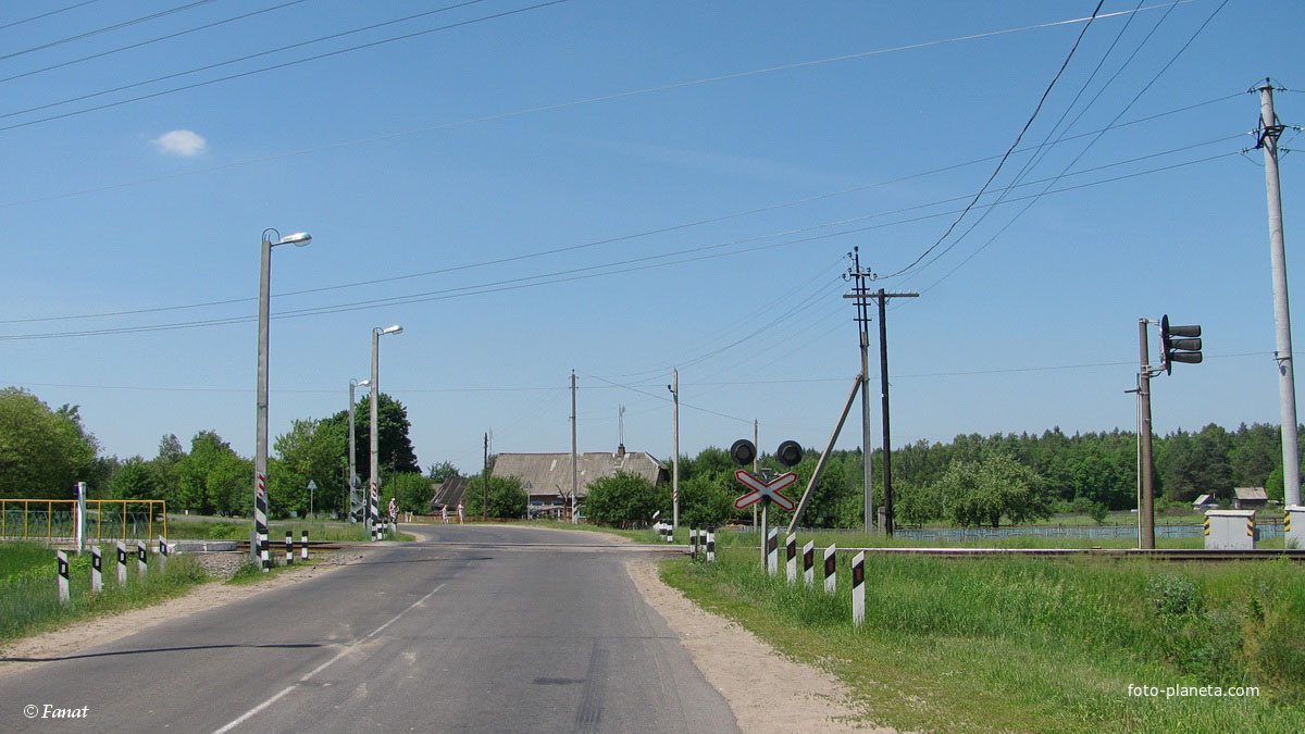 Переезд, дорога со стороны Соснового Бора