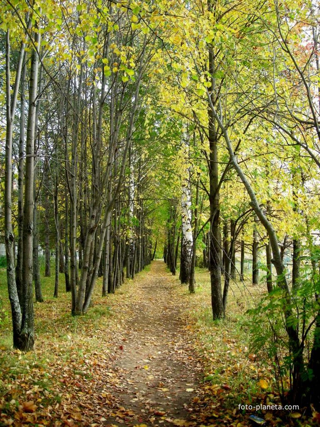 Дендрологический парк