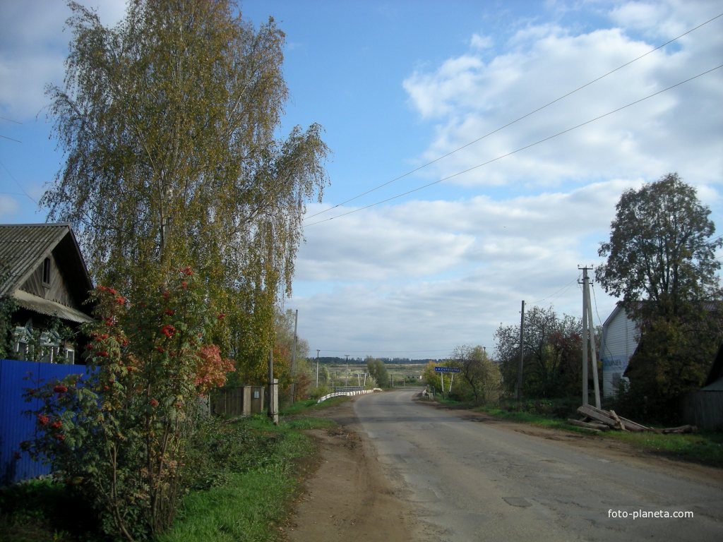 Трудовая улица