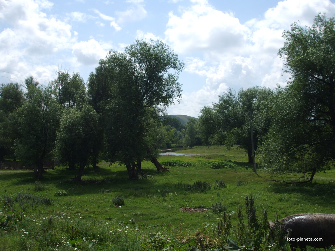 маралихинская пастораль