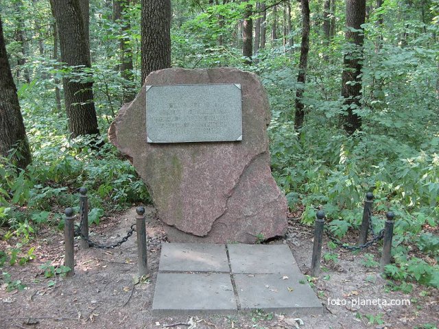 Место, где в 1921 году трагически погиб лесничий Никольский М.Д.