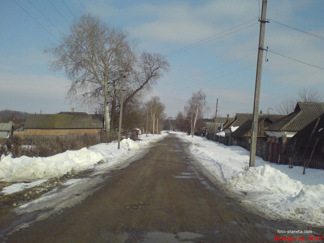 Зимой на Луговой