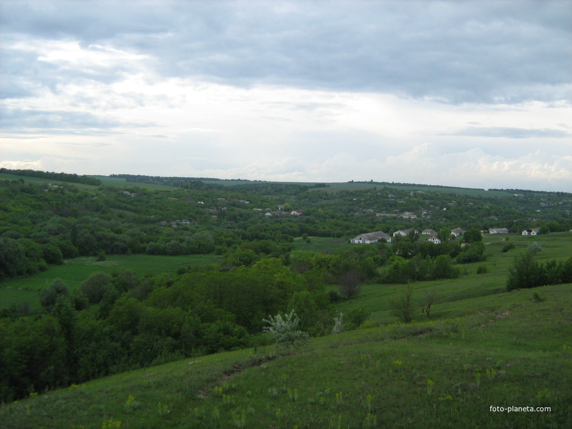 Вербка