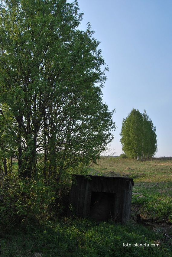 Новые Горки