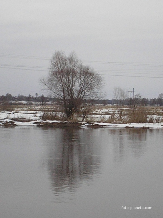 Новые Горки