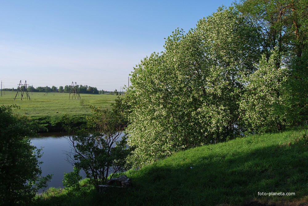 Новые Горки