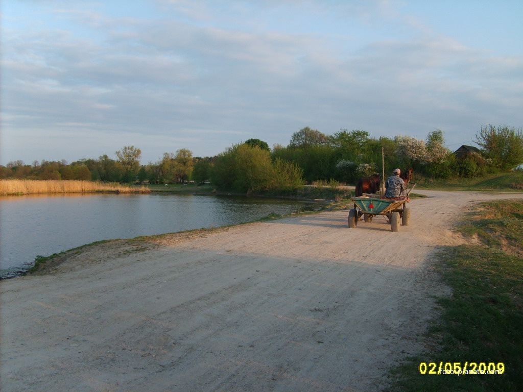 Дорога біля ставка.