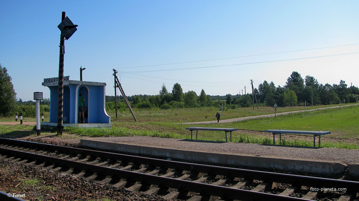 Дорога в сторону деревни