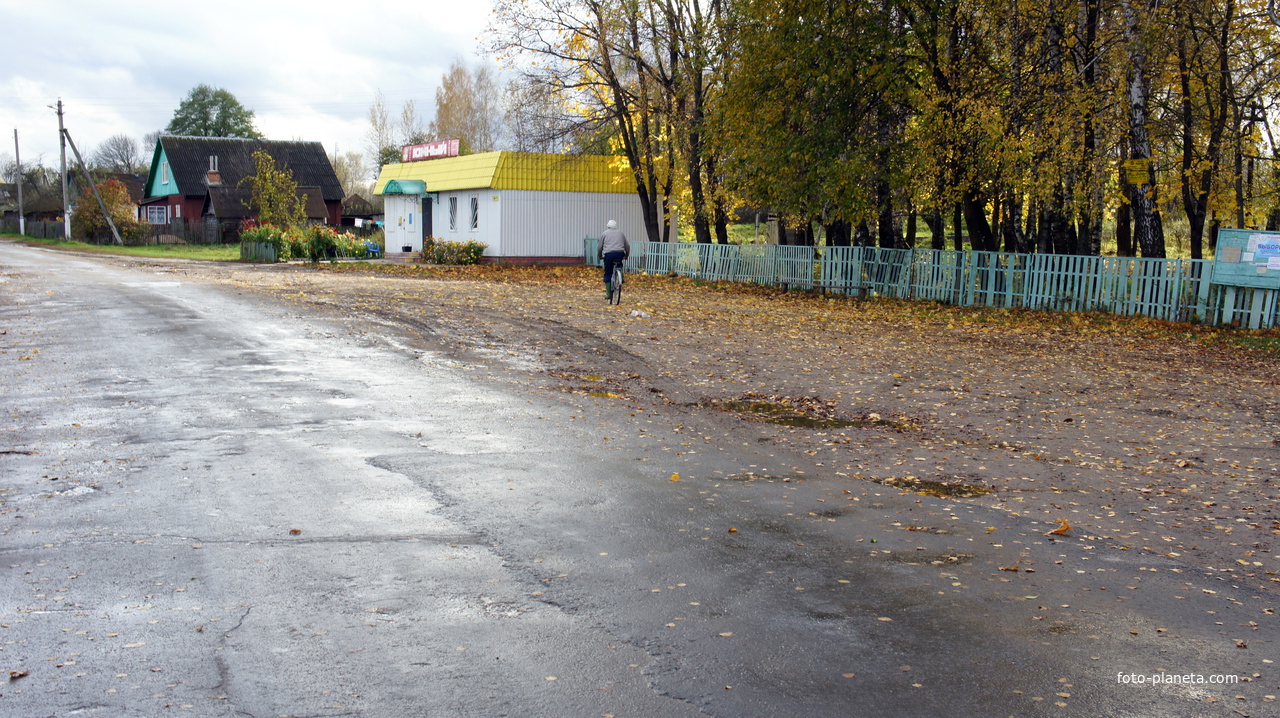 Деревня Анушино Унечского района Брянской области