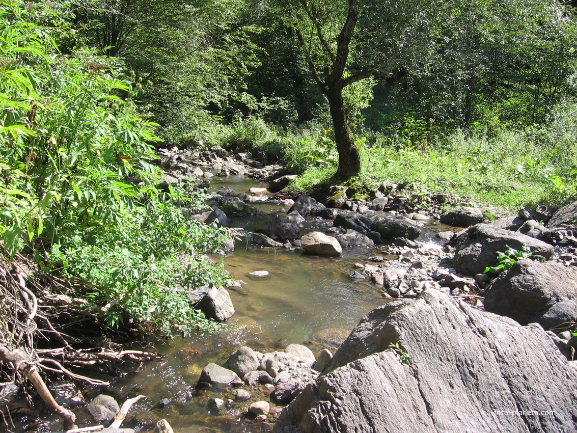 Река Агстев в Дилижанском национальном парке