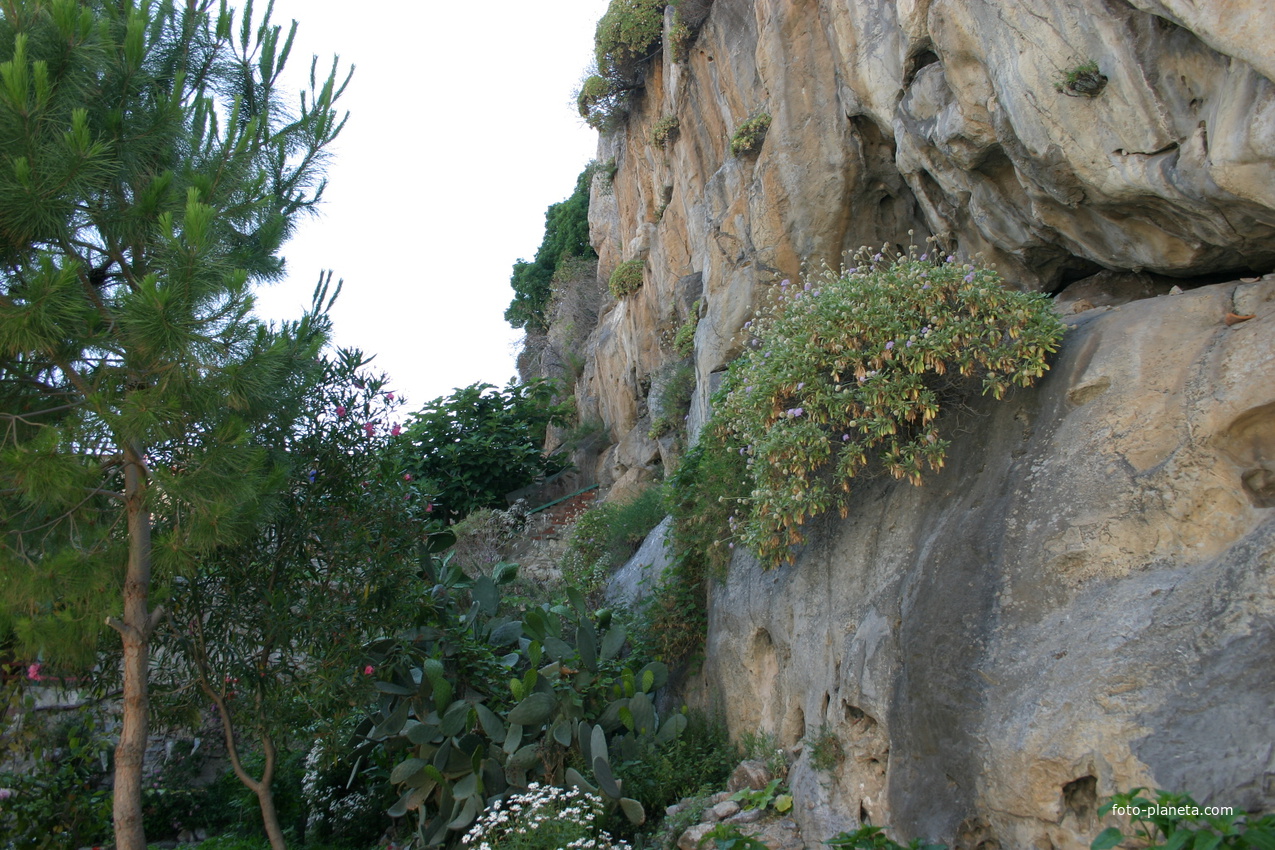 Сад у скалы
