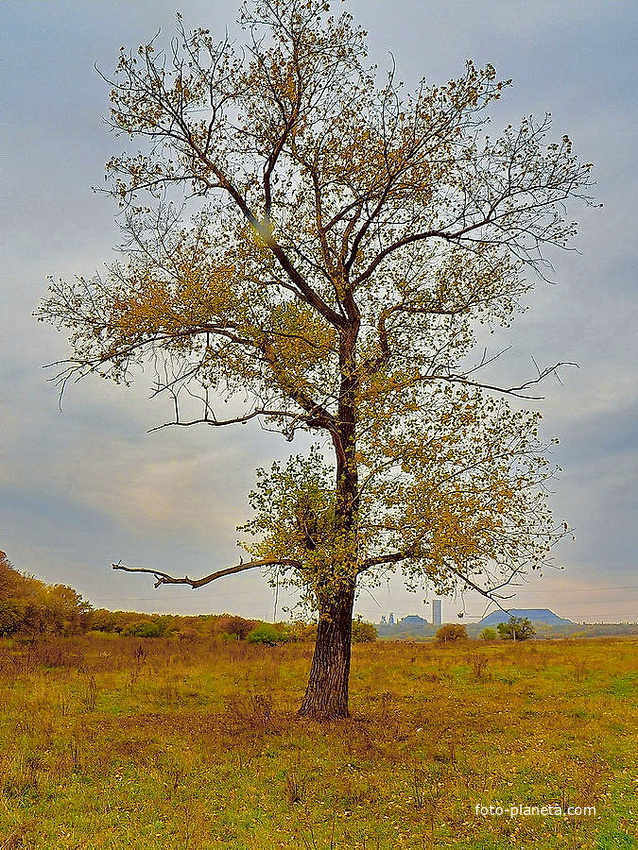 Вид на шахту &quot;Кондратьевскую&quot; с Каютино