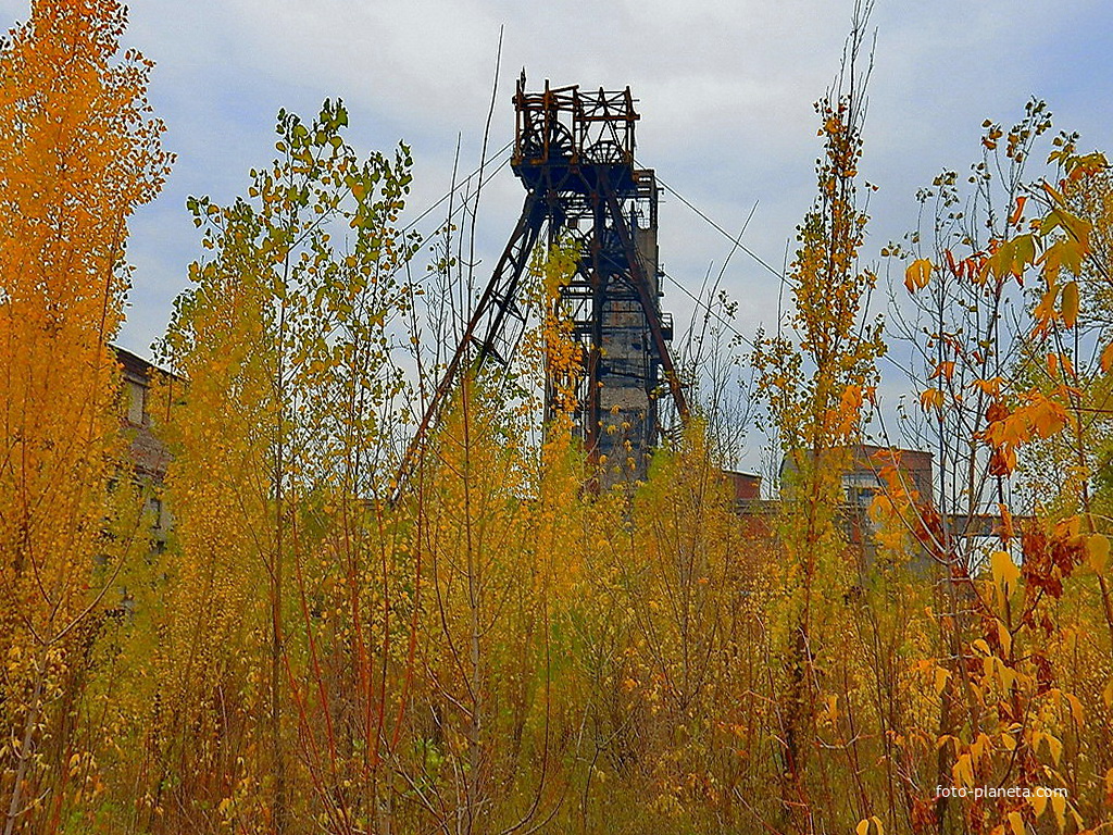 Осенние копры