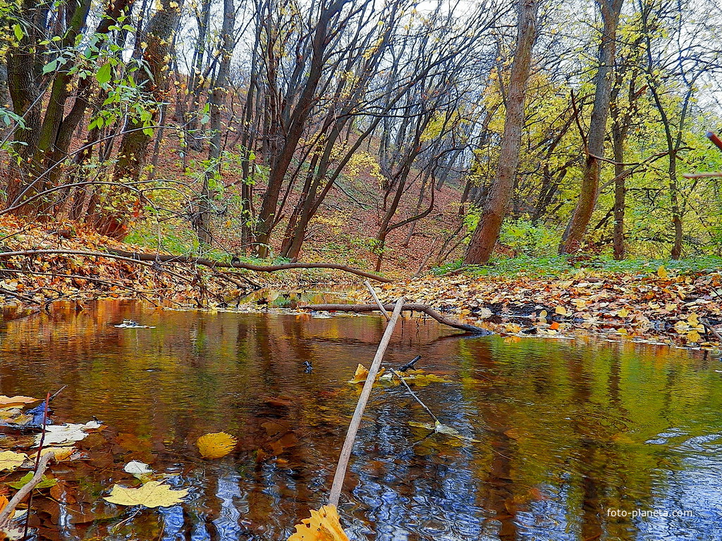 Возле Александровского