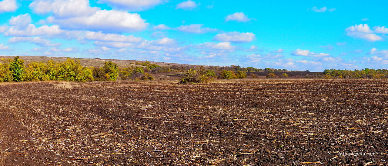 Пашня у Данилово