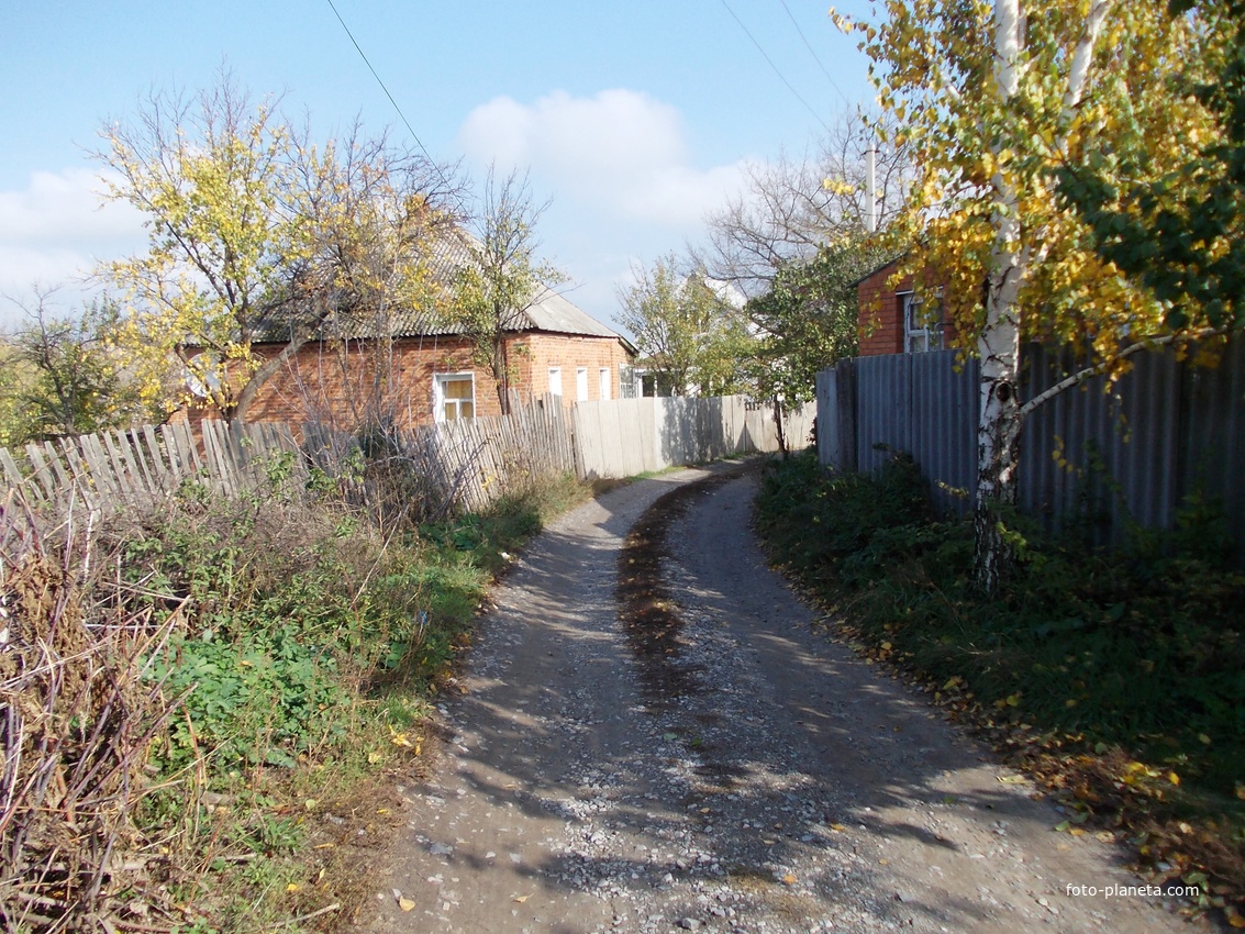 Улица Горького.