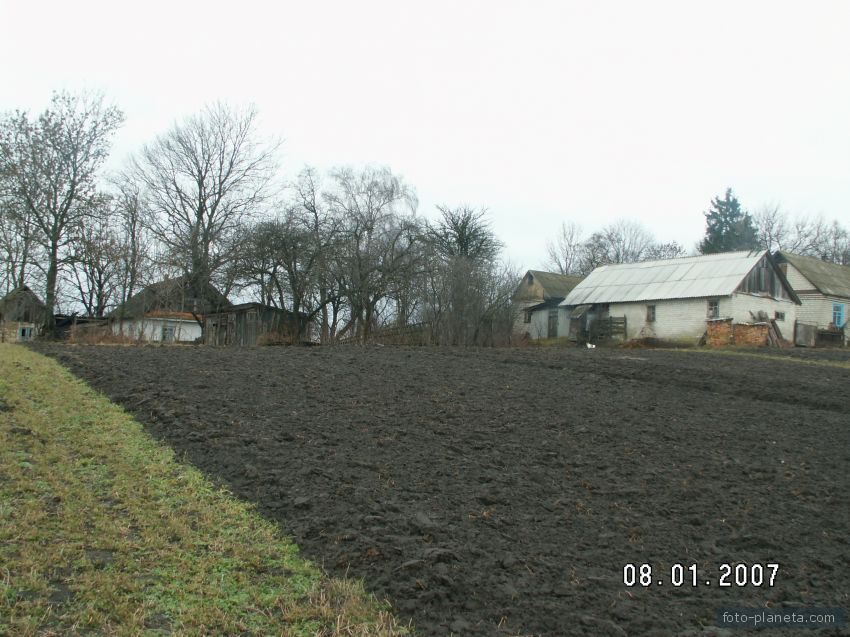 Безсніжна зима в Ставищанах.