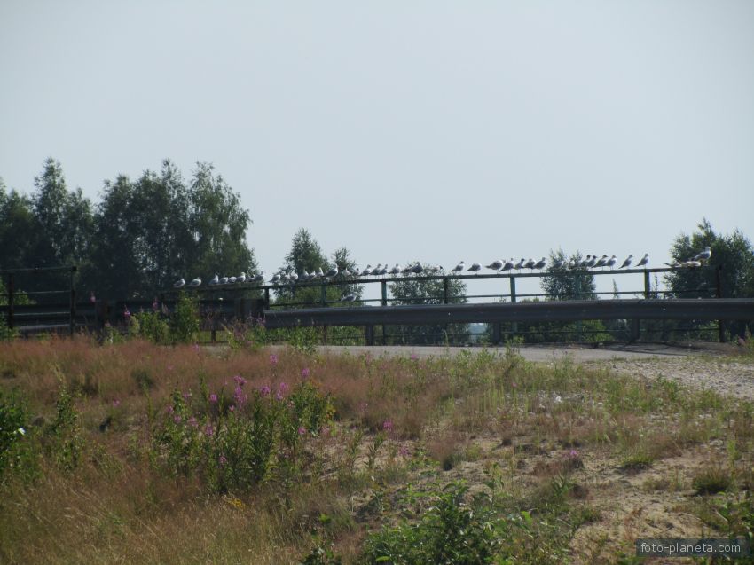 Мост через реку Шередарь