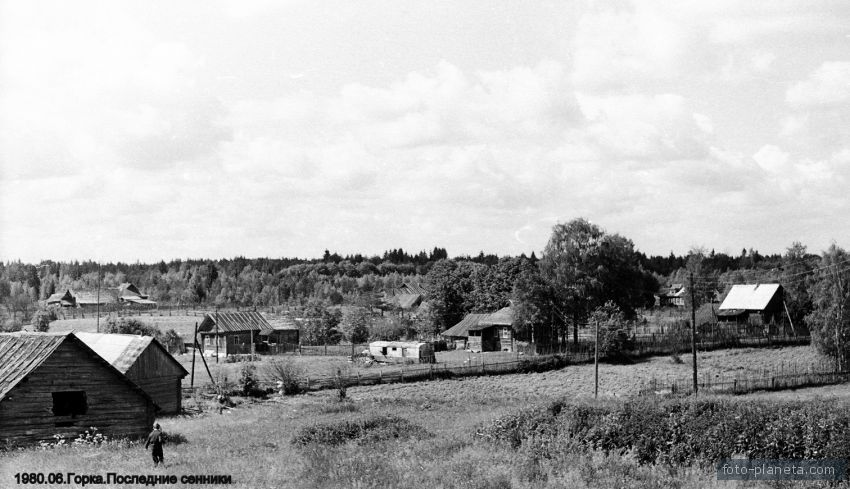 1980.06.Последние сенники