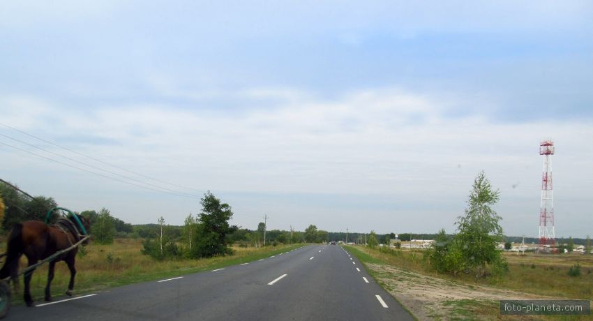 Дорога в Тёткино