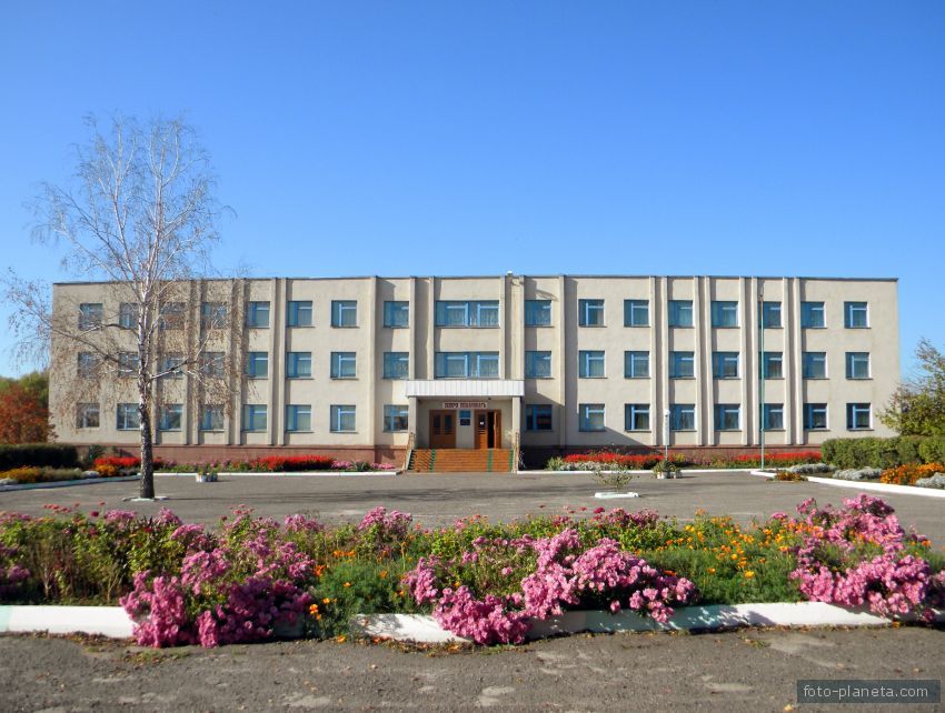 Средняя школа села Плота.