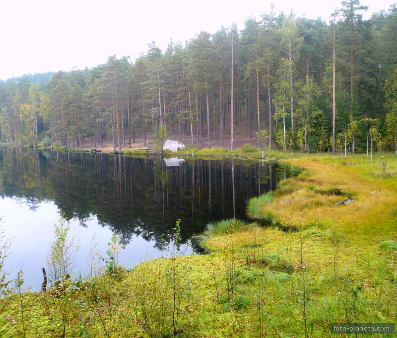 Горки. Маленькое озерцо.