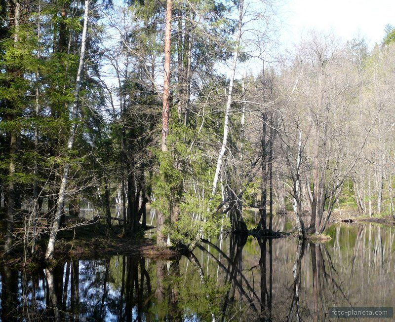Ильичево. Весна на озере Долгое.