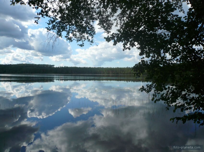 Озеро Подгорное – лучшее место для рыбалки в Ленинградской области
