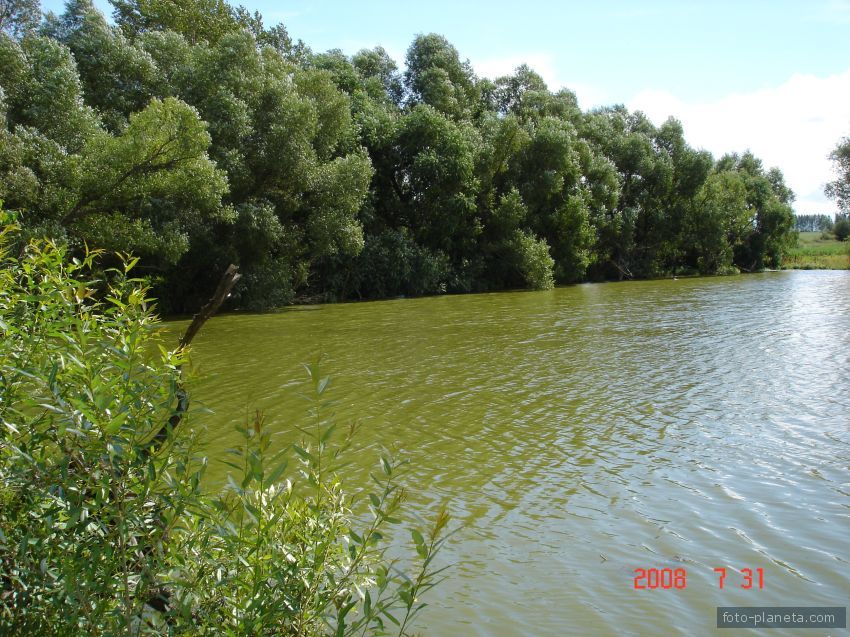 деревня Скородумовка,Нижегородская обл. Кульгинов пруд