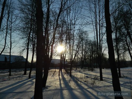 В городском парке