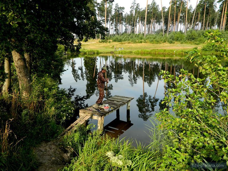 Утренняя рыбалка.