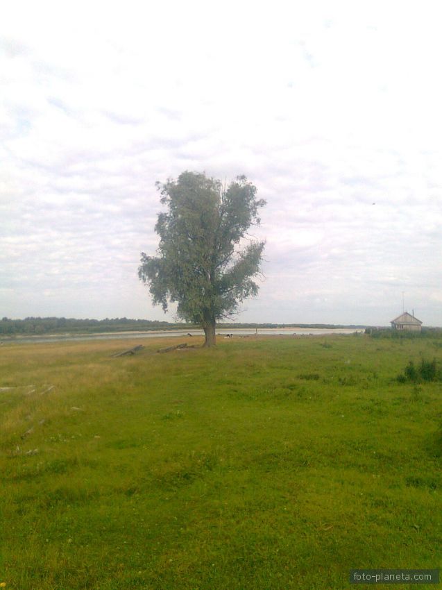 Казальцево