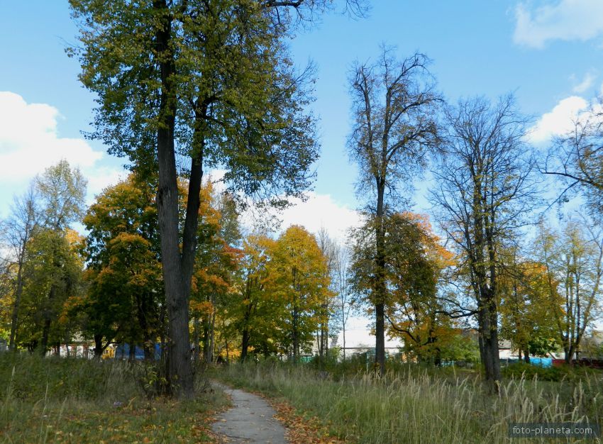 Городской парк,дорожка