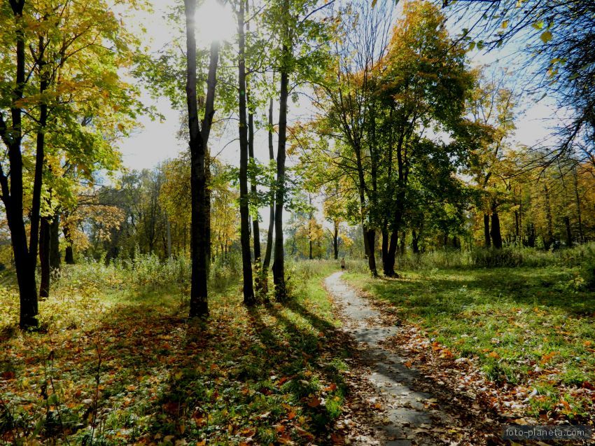 Парк.Осень.Красота.