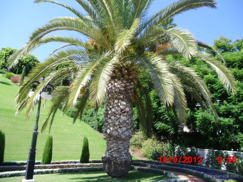 Haifa. Baha&#039;i gardens