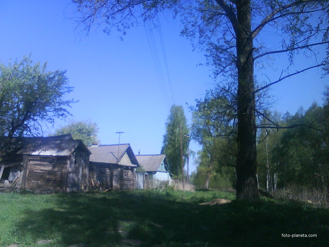 Улица Ольховая