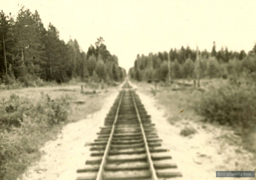 Узкоколейка Тотомица-Медвежка Буровский переезд,  1965 г.