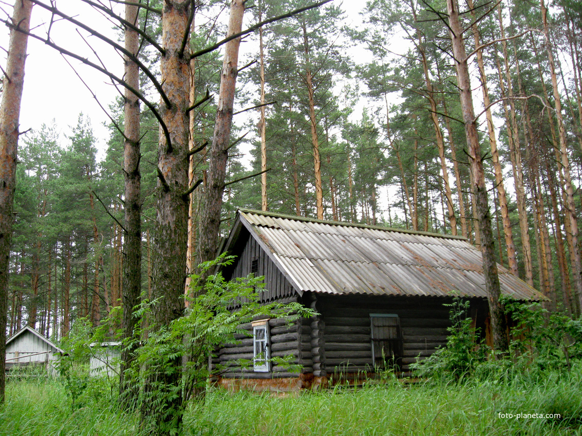 с.Пелегово (домик рыбака)