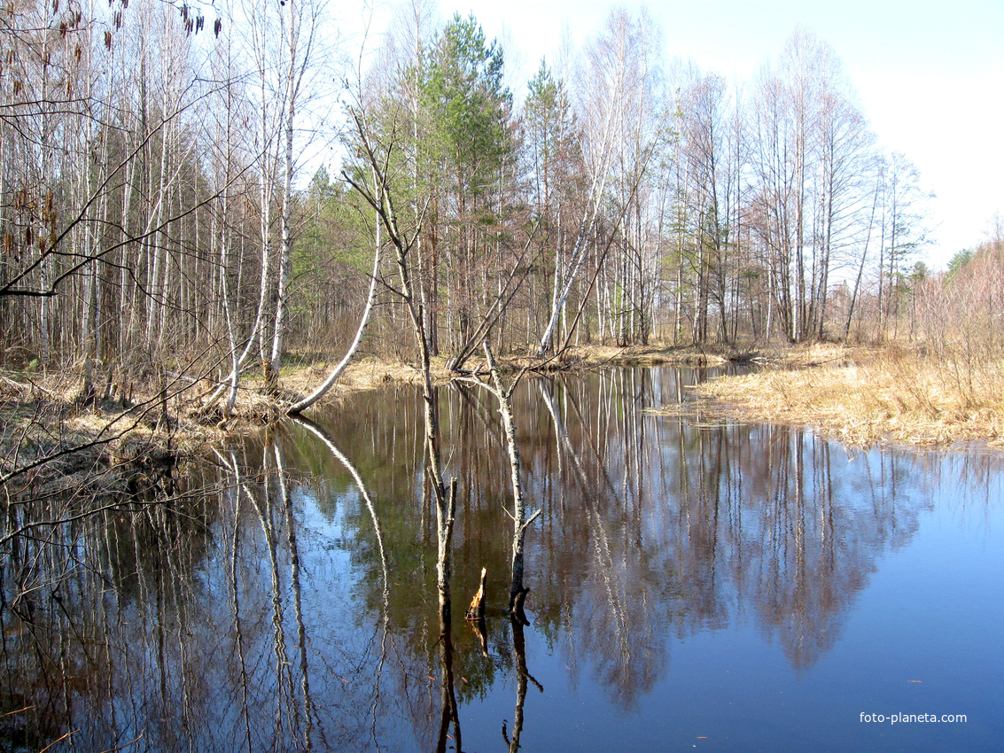 с. Пелегово (весна)