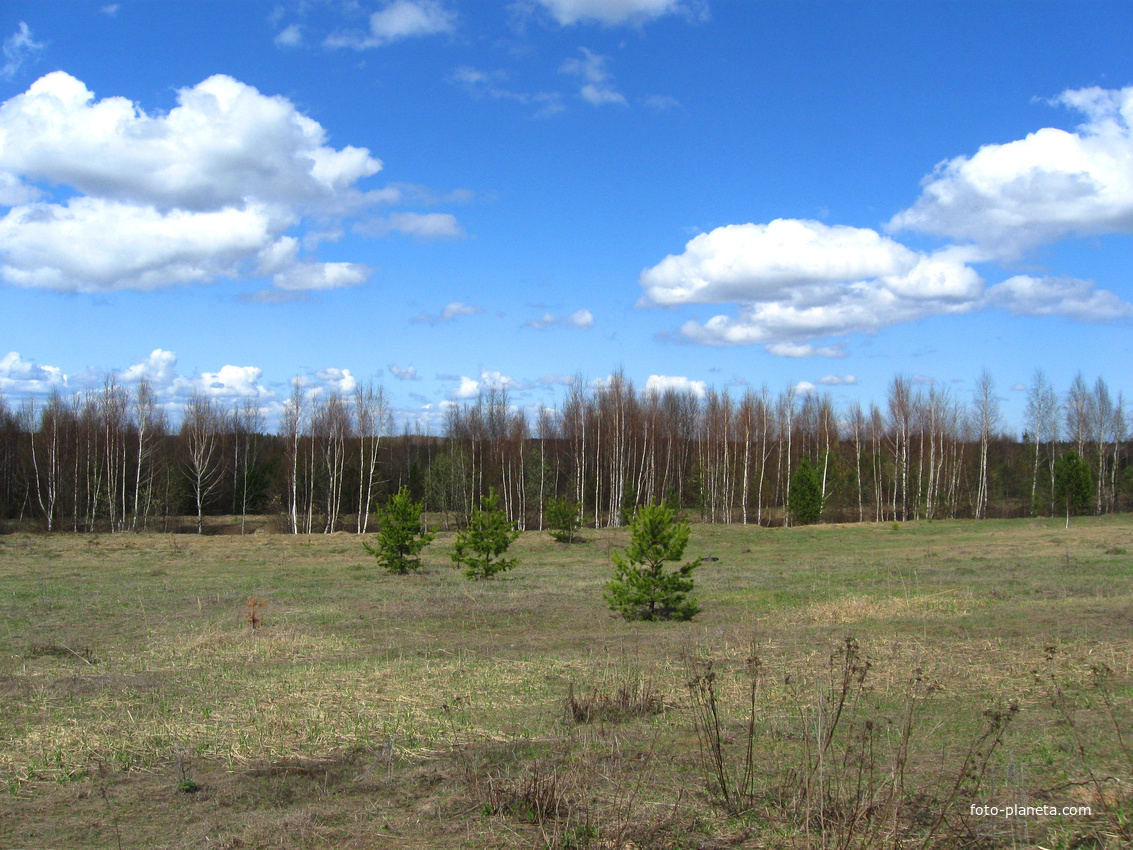 с. Пелегово (весна)