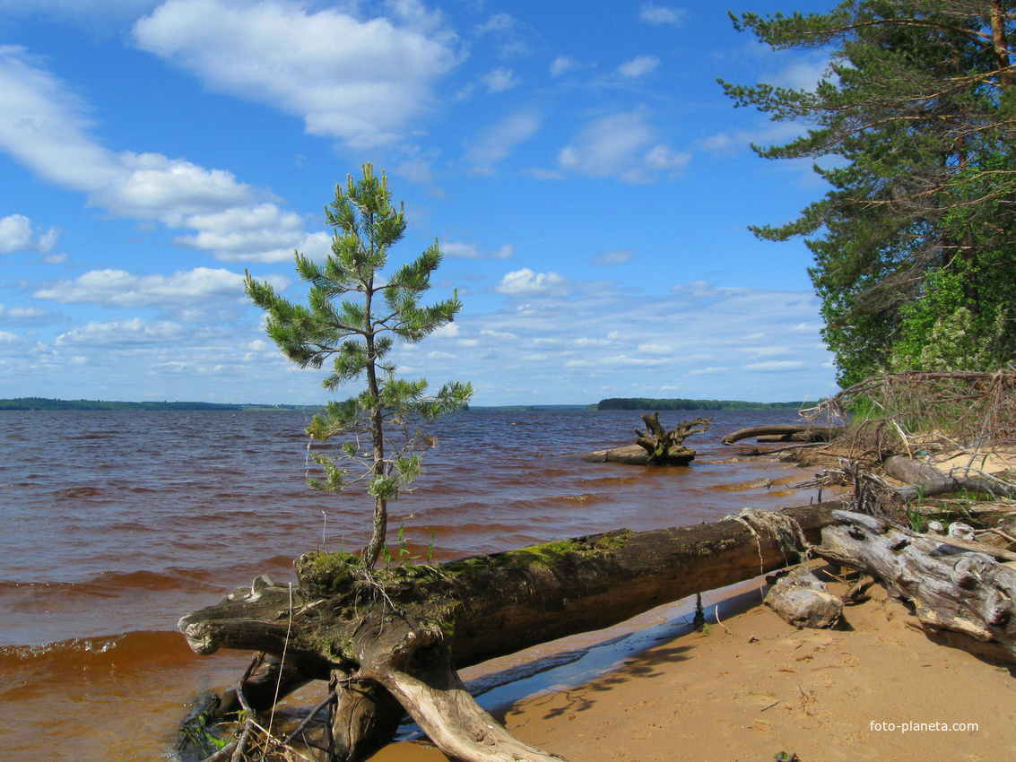 с. Пелегово (лето) р. Унжа